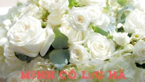 Mệnh có Lưu Hà: Số phận bạn có gì đặc biệt?