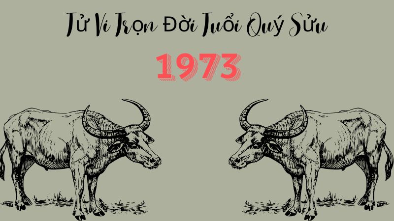 Xem Tử Vi Trọn Đời Tuổi Quý Sửu 1973 Chính Xác