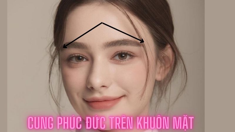 Vị trí cung Phúc Đức trên khuôn mặt Và Cách Nhận Diện