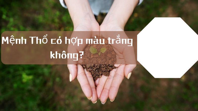 Mệnh Thổ có hợp màu trắng không?